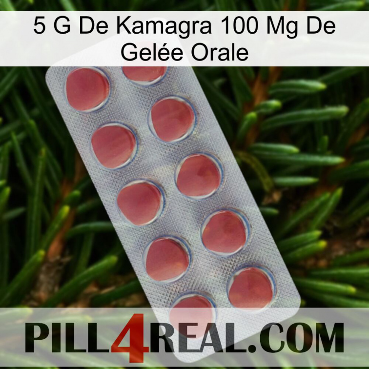5 G De Kamagra 100 Mg De Gelée Orale 18